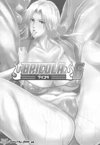 Page 2: 001.jpg | BRICOLA6 | View Page!