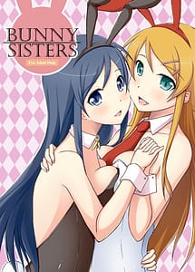 Cover | BUNNY SISTERS | View Image!