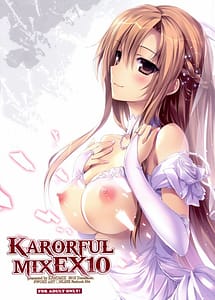 Cover | Karorful mix EX10 | View Image!