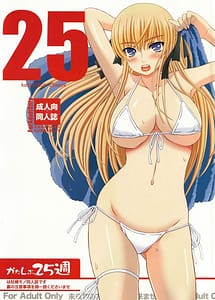 Cover | Katashibu 3 | View Image!