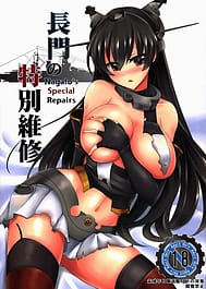 Nagatos Special Repairs / English Translated | View Image!