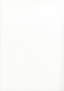 Page 11: 010.jpg | Order Made Pillow | View Page!