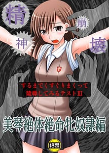 Cover | Seishin Houkaisuru made Kusuguri makutte Ryoujokushitemiru Test III | View Image!