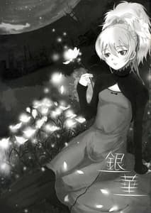 Page 2: 001.jpg | 銀華 | View Page!