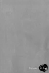 Page 4: 003.jpg | Swimmer in the Dark | View Page!