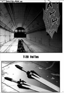 Page 4: 003.jpg | T-20 Fei Tas | View Page!