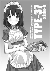 Page 1: 000.jpg | TYPE-37 side-b | View Page!