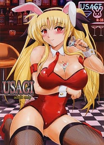 Cover | USAGI - magical girl lyrical nanoha | View Image!