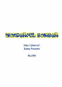 Page 2: 001.jpg | Wonderful Bomber | View Page!