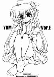 YDM Ver.E / English Translated | View Image!