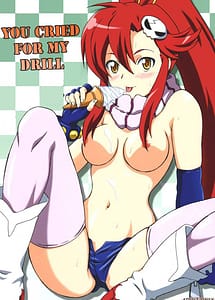 Cover | You Cried For My Drill | View Image!