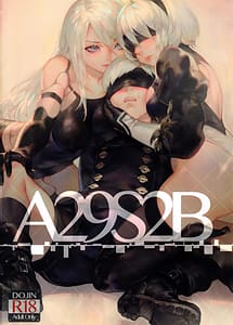 Cover | A29S2B | View Image!