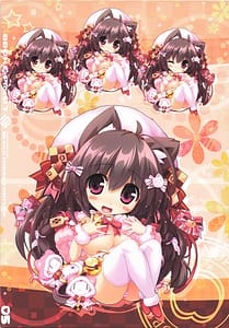 Page 4: 003.jpg | BBOX C-Plus 07 | View Page!