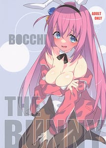 Cover | BCCHI THE BUNNY | View Image!