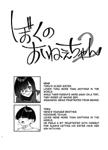 Page 3: 002.jpg | ぼくのおねぇちゃん2 | View Page!