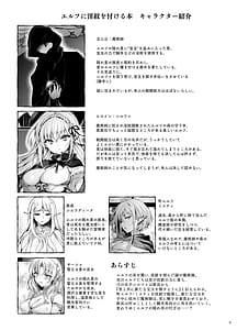 Page 2: 001.jpg | エルフに淫紋を付ける本 LEVEL9 | View Page!