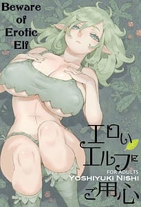 Page 1: 000.jpg | エロいエルフにご用心 | View Page!
