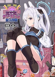 Cover | HOTEL Sanctum Sennyuu Sakusen | View Image!