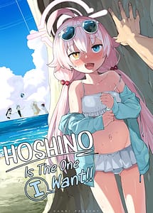 Cover | Hoshino ga Iin da yo!! | View Image!