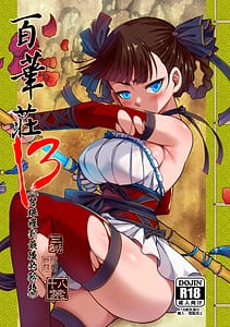 Page 1: 000.jpg | 百華荘13碧眼羅刹最後の矜持 | View Page!