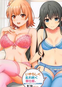 Cover | Iyarashiku Midare Saku Houshi-bu | View Image!