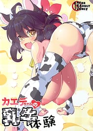 Kaede-chan no Nyuugyuu Taiken / C105 | View Image!