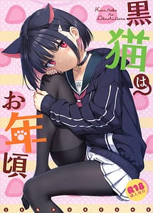 Cover / Kuroneko wa Otoshigoro / 黒猫はお年頃 | View Image!