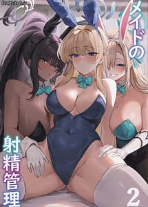 Cover | Maid no Shasei Kanri 2 | View Image!