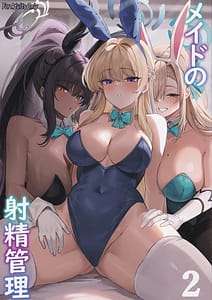 Page 1: 000.jpg | メイドの射精管理2 | View Page!