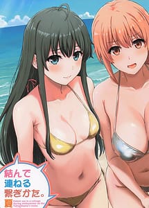 Cover | Musunde Tsuraneru Tsunagikata. Natsu | View Image!