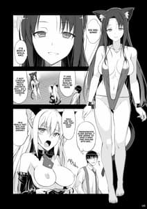 Sample Image 1 / Neko to Geboku III / ねことげぼくIII | View Image!