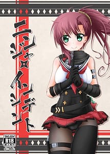 Cover | Ninja Incident | View Image!