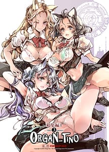Cover | ORGAN-Tino3 Soushuuhen 3 | View Image!