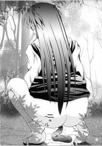 Page 13: 012.jpg | RESUMPTION 3 | View Page!