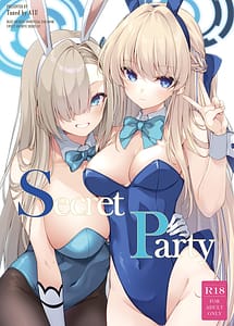 Cover | Secret Party | View Image!
