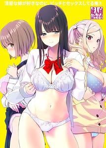 Cover | Seiso na Ane ga Suki na Noni Bitch to Sex Shiteru Ore 3 | View Image!