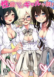 Seiyoku Tsuyotsuyo Gyarugasaki! / C107 / English Translated | View Image!