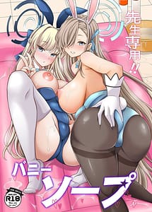 Cover | Sensei Senyou!! Bunny Soap | View Image!