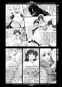 Page 4: 003.jpg | 天上世界のメイドたち2 | View Page!