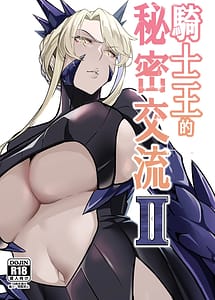 Cover | The Secret Communication of the King of Knights II | View Image!