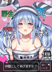 Cover | Yasei no Usagi ga Nakama ni Naritasou ni Kochira wo Miteiru | View Image!