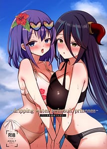 Cover | dripping water swimsuit princess PriCone Swimsuit Book Full Color | View Image!