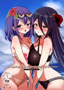 Page 1: 000.jpg | C105) dripping water swimsuit princess プリコネ水着本フルカラー | View Page!