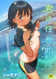 Cover | Kimi wa Seishunki | View Image!