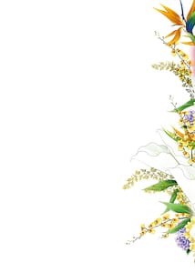 Page 2: 001.jpg | 元カノたちとヤReなおし！？ 第02巻 | View Page!