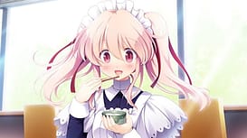 Sample Image 3 / Cross Concerto / クロスコンチェルト | View Image!