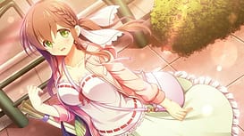 Image 8 | クロスコンチェルト | View Image!