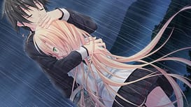 Image 8 | 晴のちきっと菜の花びより | View Image!