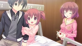 Image 9 | 晴のちきっと菜の花びより | View Image!