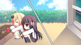 Image 11 | 晴のちきっと菜の花びより | View Image!